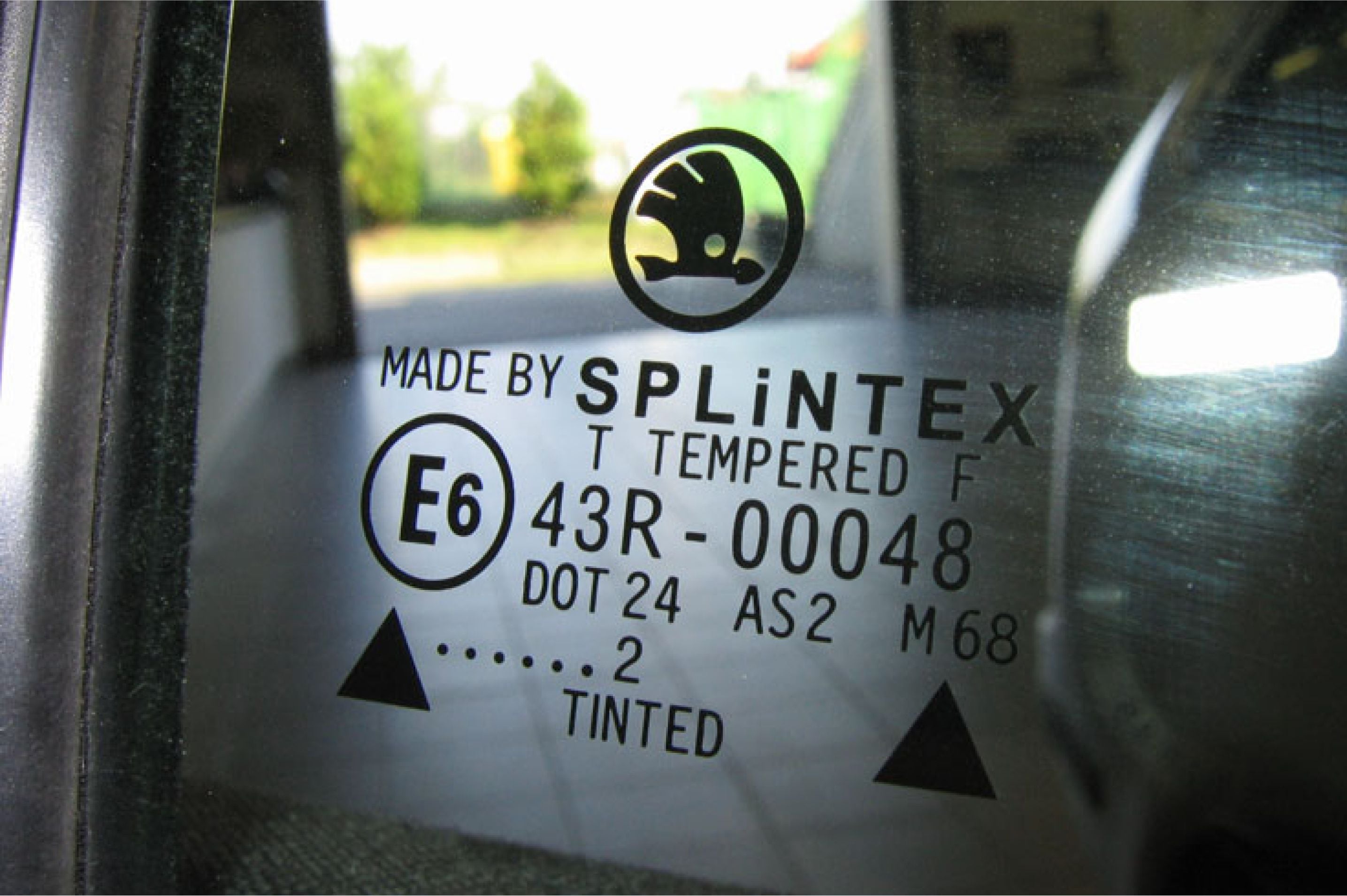 image-7.jpg