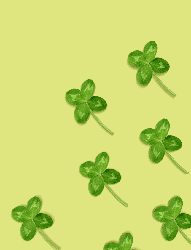 15.png